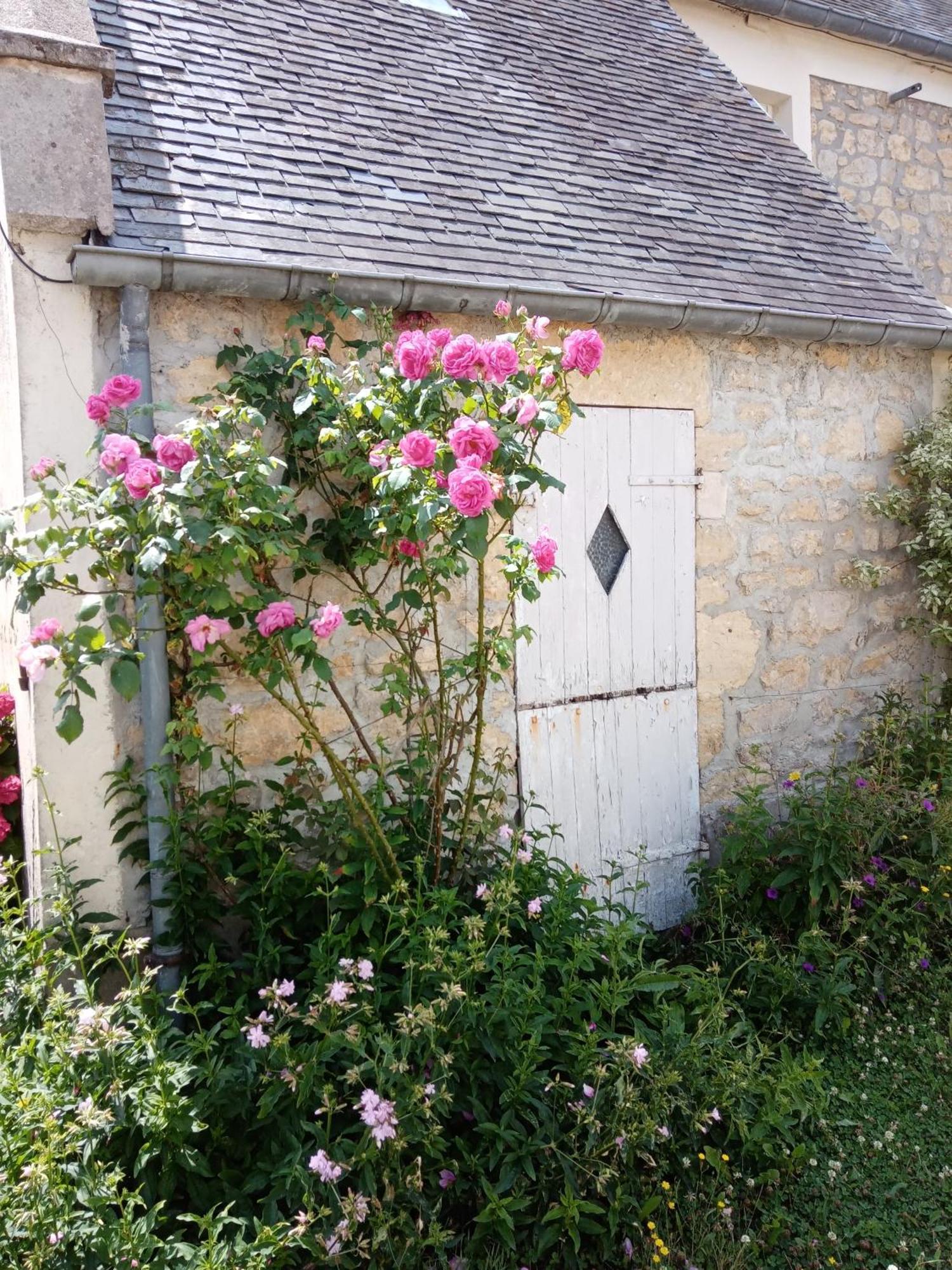 Rose Garden Bayeux Bed & Breakfast エクステリア 写真