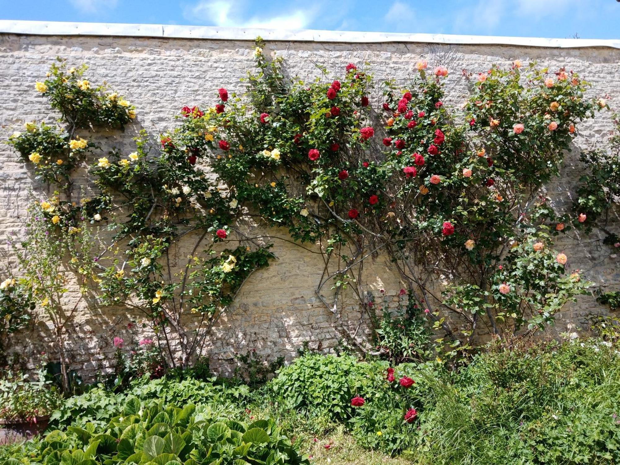Rose Garden Bayeux Bed & Breakfast エクステリア 写真