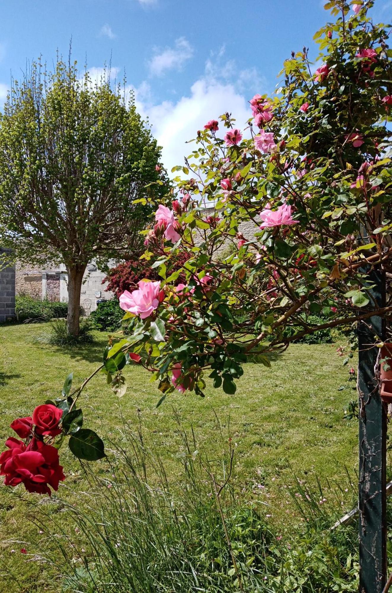 Rose Garden Bayeux Bed & Breakfast エクステリア 写真