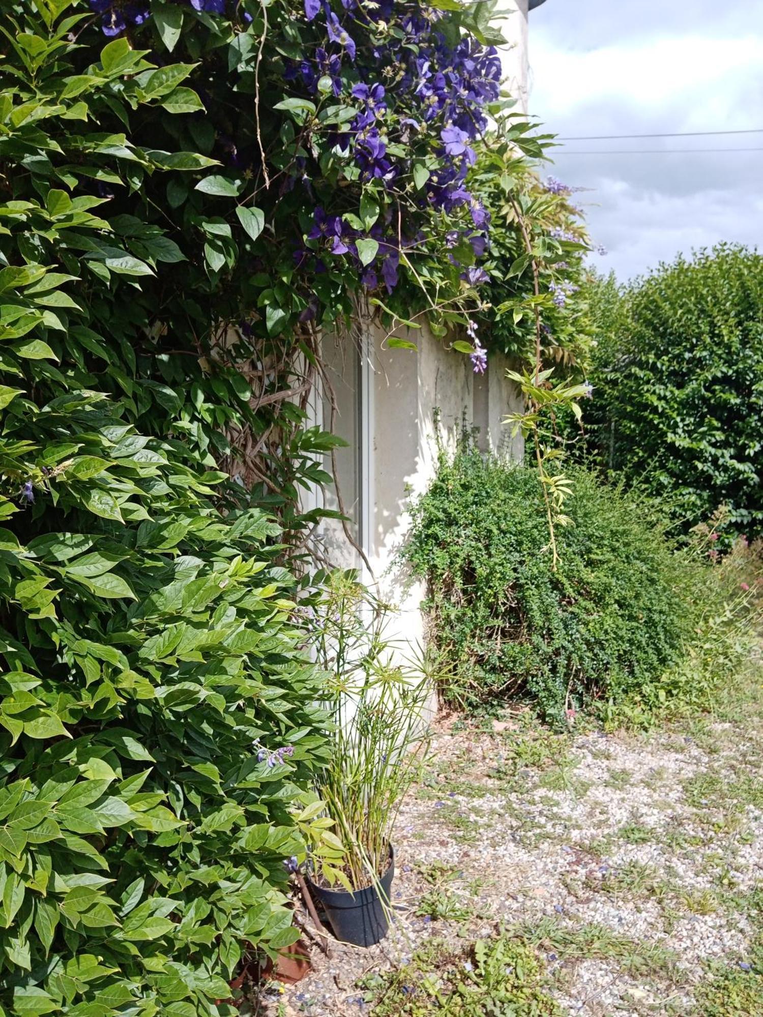 Rose Garden Bayeux Bed & Breakfast エクステリア 写真